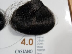 Avantx tintura 4.0castanoRaywell 100ml