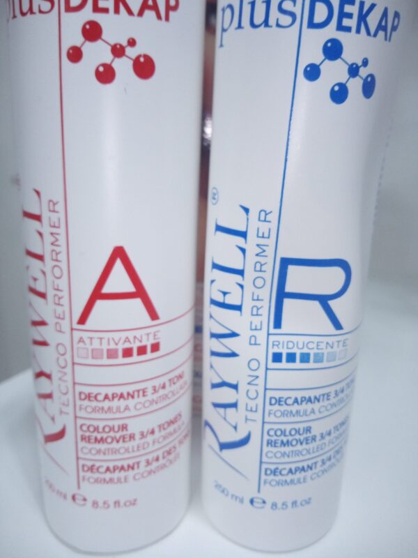 decapante dekap-plus Raywell - immagine 2
