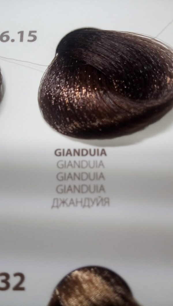 Coloroil 6.15gianduia no-ammonia - immagine 2