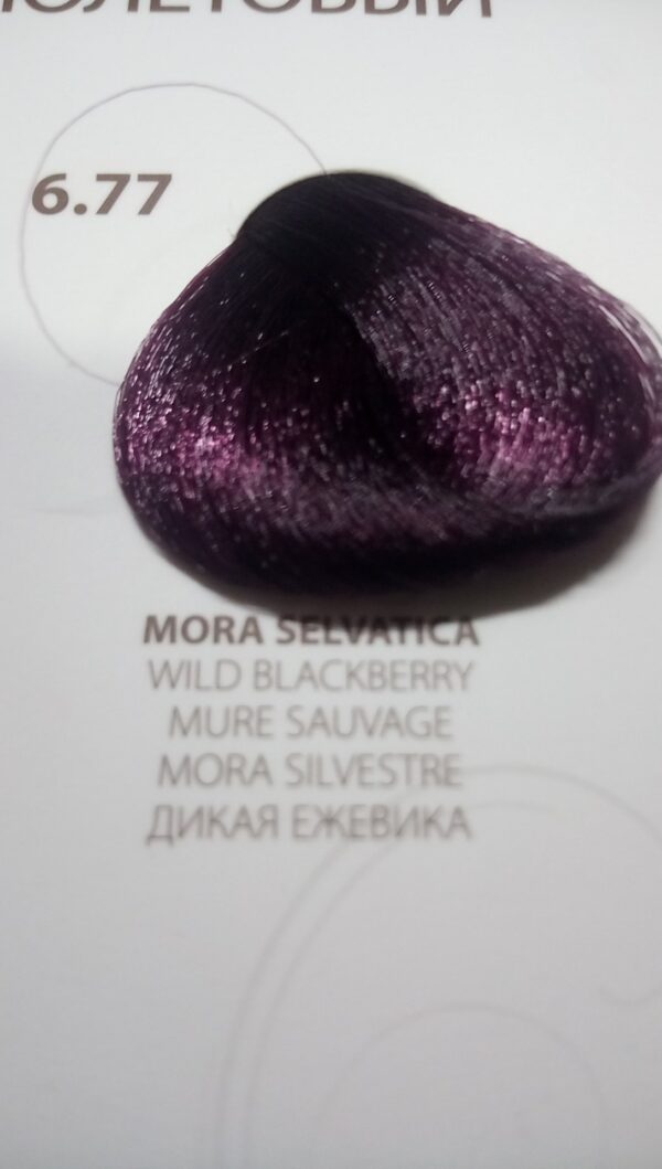 Coloroil 6.77moraselvatica no-ammonia - immagine 2