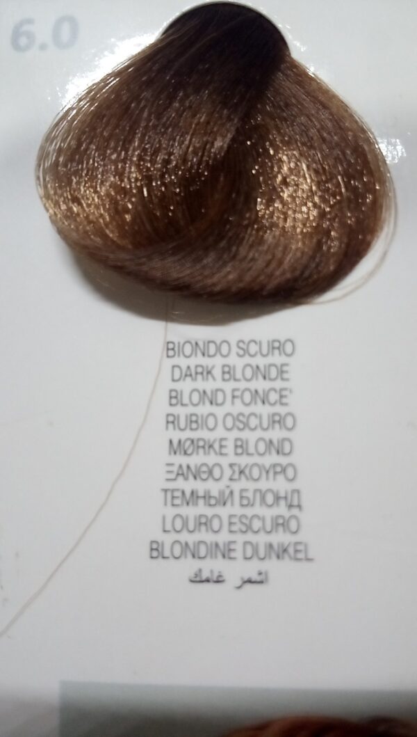6.0biondoscuro colorplex Raywell tinturaconkeratina - immagine 3