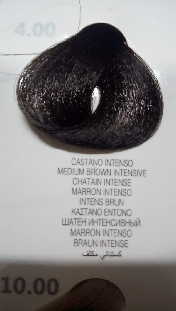 4.00castanointenso colorplex Raywell tinturaconkeratina