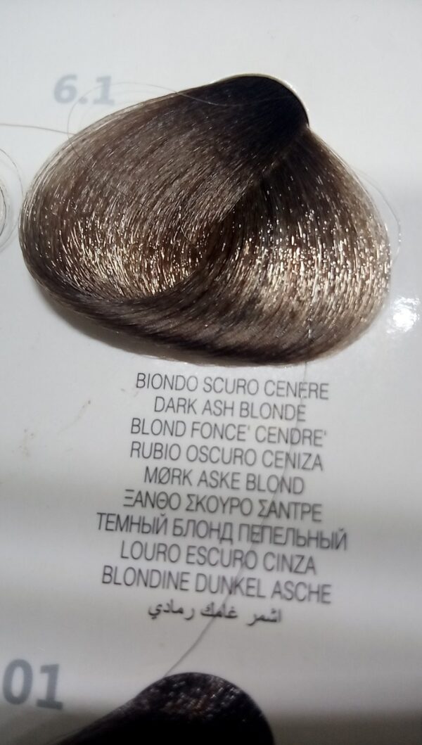 6.1biondoscurocenere colorplex Raywell tinturaconkeratina - immagine 2